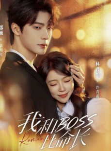短剧《我和boss比命长》50集短剧超清画质在线追剧
