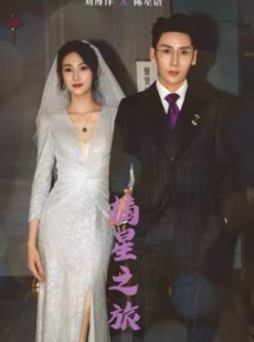 短剧《摘星之旅》88集短剧一键解锁全集畅快赏