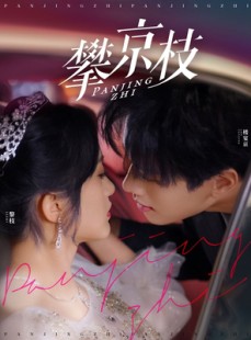 短剧《攀京枝》80集短剧全集超前点播抢先看