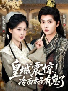 短剧《皇城震惊冷面太子有崽了》105集短剧全集高清在线赏看