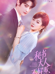 短剧《秘书大人不好惹》62集短剧高清在线无广告观看