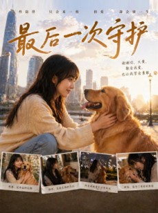 短剧《最后一次守护》26集短剧高清流畅在线观看