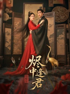 短剧《烬中逢君》98集短剧独家字幕版在线观看