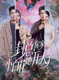 短剧《封总，你家小白花她开大了》60集短剧在线高清尽情观看
