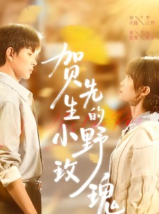 短剧《贺先生的小野玫瑰》99集短剧完整版免费畅享