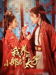 短剧《我养的小郎君竟是东宫太子》104集短剧蓝光画质抢先看
