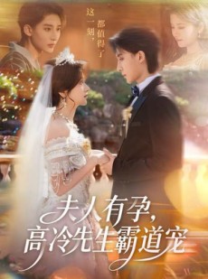 短剧《夫人有孕，高冷先生霸道宠》60集短剧超清画质在线速看