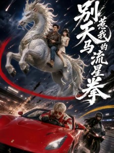 短剧《别惹我的天马流星拳》40集短剧免费在线观看完整版