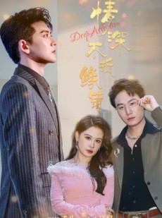 短剧《情深不抵缘错》60集短剧蓝光画质独家免费观看