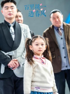 短剧《百里挑一遇春风》30集短剧无广告在线观看