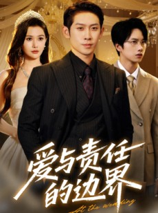 短剧《爱与责任的边界》35集短剧全集在线解锁畅享大结局