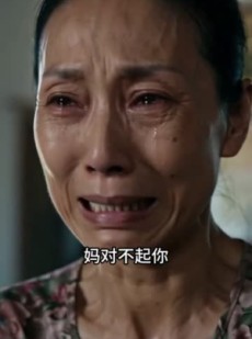 短剧《生恩凉薄，养恩滚烫》70集短剧1080P超清免费看