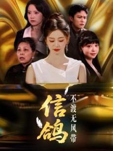 短剧《信鸽不渡无风带》65集短剧全集在线观看无删减