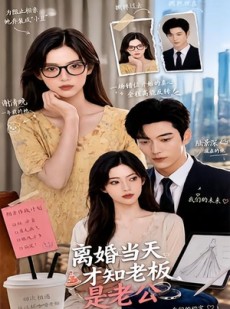 短剧《离婚当天才知老板是老公》46集短剧超清画质在线追剧