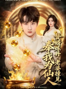 短剧《赘婿炼丹，老婆撞见，奉我为仙人》59集短剧超清画质畅享观看