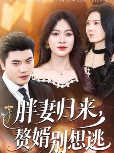 短剧《胖妻归来，赘婿别想逃》50集短剧超清画质免费追剧