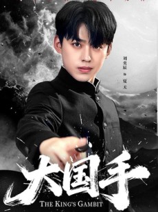 短剧《大国手》76集短剧完整版免费在线看