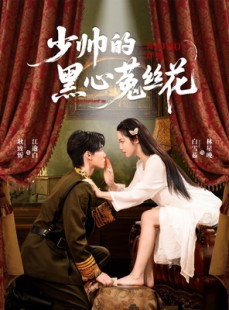 短剧《少帅的黑心菟丝花》60集短剧在线观看直通大结局