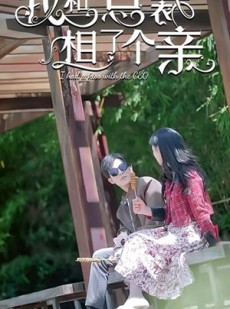 短剧《我和总裁相了个亲》90集短剧独家高清资源免费在线观看