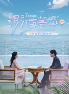 短剧《溺海蔷薇》80集短剧高清无删减版免费观看