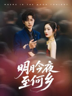 短剧《明月今夜至何乡》70集短剧全集高清免费下载观看