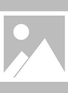 短剧《双龙会》92集短剧高清全集每日更新追不停