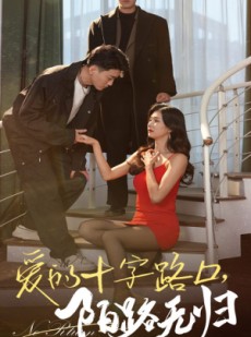 短剧《爱的十字路口，陌路无归》35集短剧高清流畅在线免费看