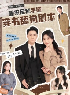 短剧《醒来后我手撕穿书舔狗剧本》74集短剧全集畅享免费观
