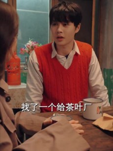 短剧《重生80辣妻当家》96集短剧手机高清在线观看