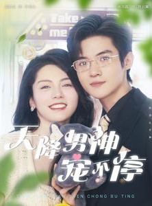 短剧《天降男神宠不停》100集短剧全集高清在线极速观看