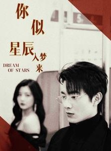 短剧《你似星辰入梦来》105集短剧4K超清画质在线尊享