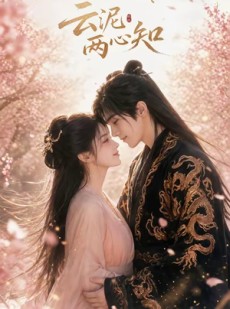 短剧《云泥两心知》50集短剧完整版免费畅享观看