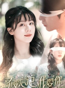 短剧《不要忘记我爱你》69集短剧无广告纯净版在线观看