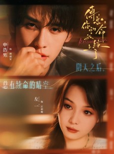 短剧《傅总，你的命我续上了》61集短剧1080P在线解锁看大结局