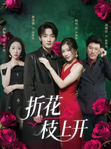 短剧《折花枝上开》51集短剧高清版全集免费在线观赏