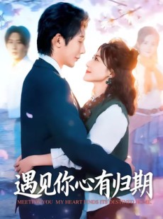 短剧《遇见你心有归期》81集短剧超清画质在线追剧
