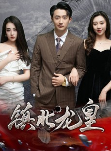 短剧《镇北龙帅》97集短剧全集高清资源在线畅享