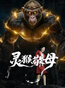 短剧《灵猴敬母》50集短剧1080P在线免费看