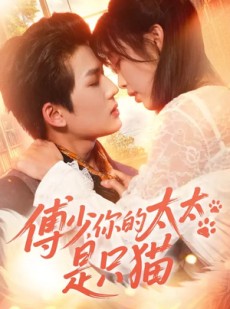 短剧《傅少，你的太太是只猫》64集短剧超清画质免费看全集
