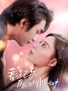 短剧《历总夫人她又跑了》78集短剧超清画质独家免费放送