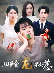 短剧《回乡金龙不好惹》74集短剧全集无广告在线观看