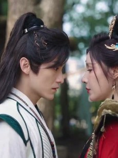 短剧《部族荣光》79集短剧每日更新在线追更观看