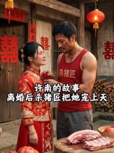 短剧《许南的故事，离婚后杀猪匠把她宠上天》41集短剧全集免费追不停