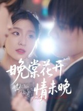 短剧《晚棠花开情未晚》30集短剧在线解锁免费看全集
