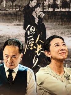 短剧《但愿人长久》80集短剧全集高清极速播放