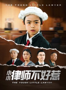短剧《小小律师不好惹》82集短剧高清流畅在线免费看
