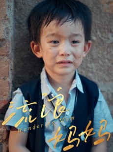 短剧《流浪妈妈》30集短剧全集在线无广告观看