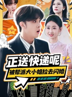 短剧《正送快递呢，被帮派大小姐拉去闪婚》60集短剧超清画质在线畅看
