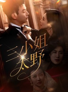 短剧《三小姐太野》61集短剧高清全集在线流畅播放