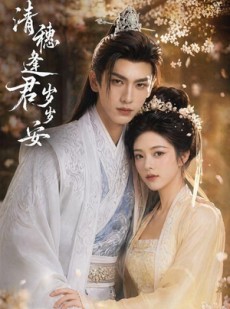 短剧《清穗逢君岁岁安》41集短剧全集资源在线免费观